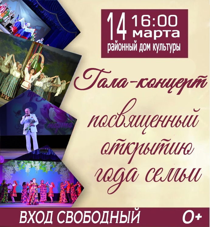 Гала-концерт, посвящённый открытию году семьи.