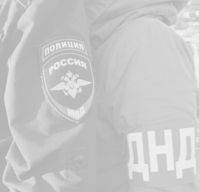 Добровольная народная дружина  Новоузенского муниципального района  Саратовской области.