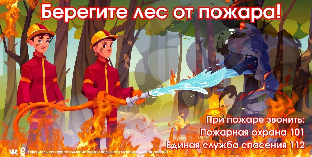 Правила поведения в лесу в пожароопасный сезон.