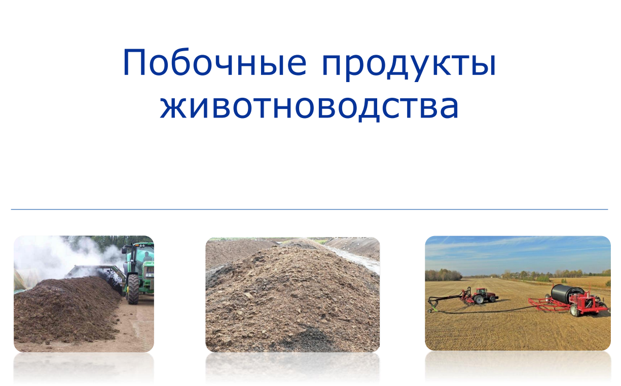 О направлении Уведомления о побочных продуктах животноводства.