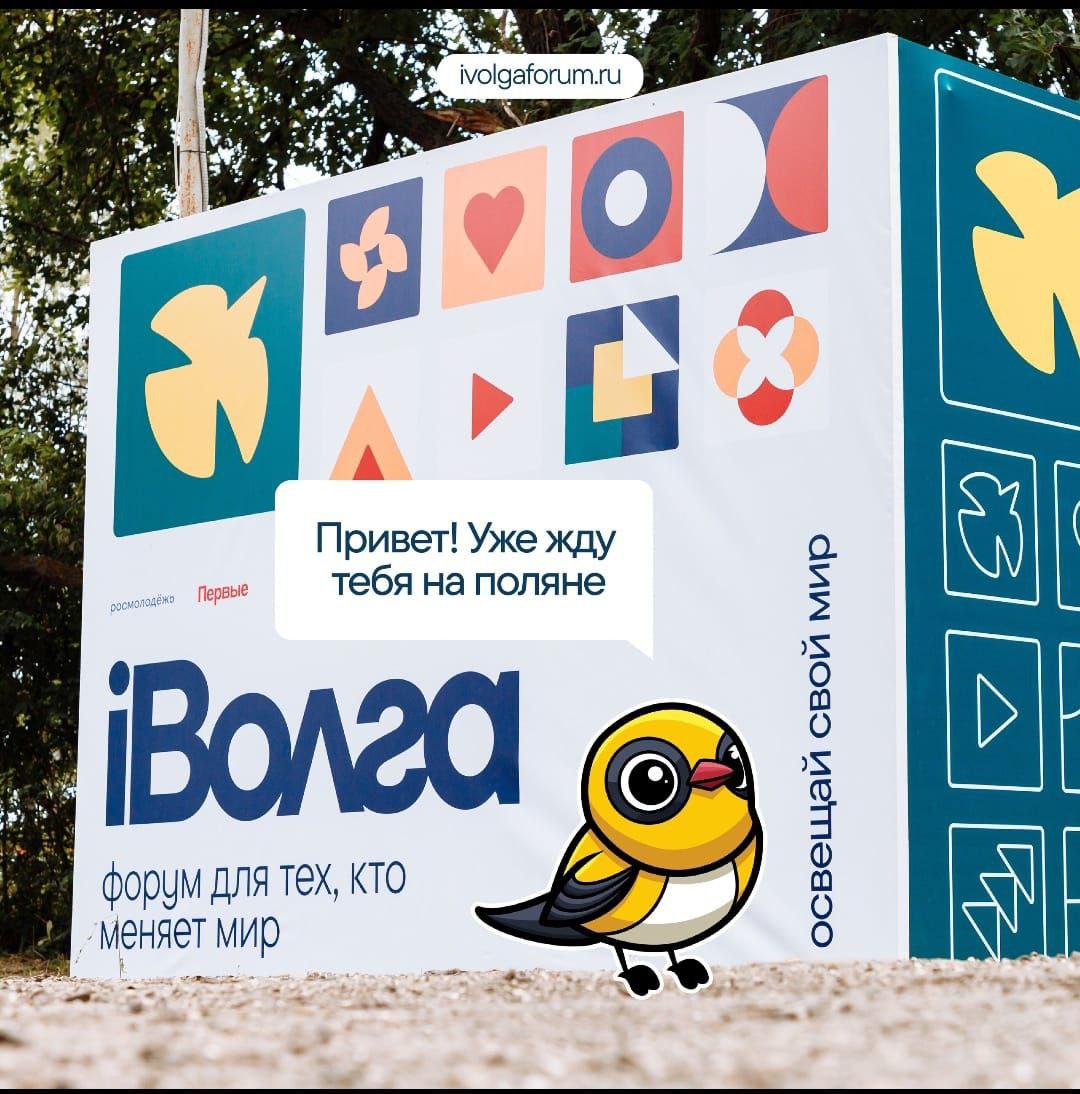 iВолга2024.