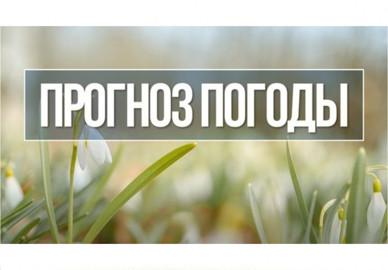 Оперативный ежедневный прогноз погоды на 14 мая 2025 года.