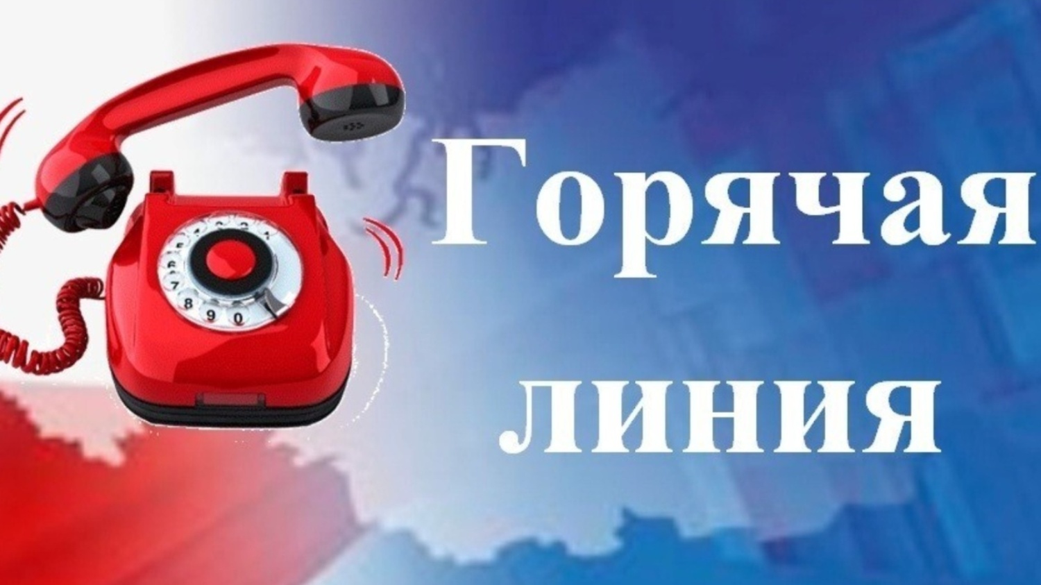 Об организации работы «горячей линии».
