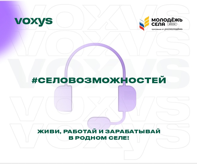 Социальный проект «Село возможностей».
