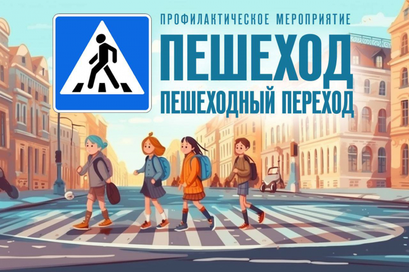 Профилактическое мероприятие «Пешеход».
