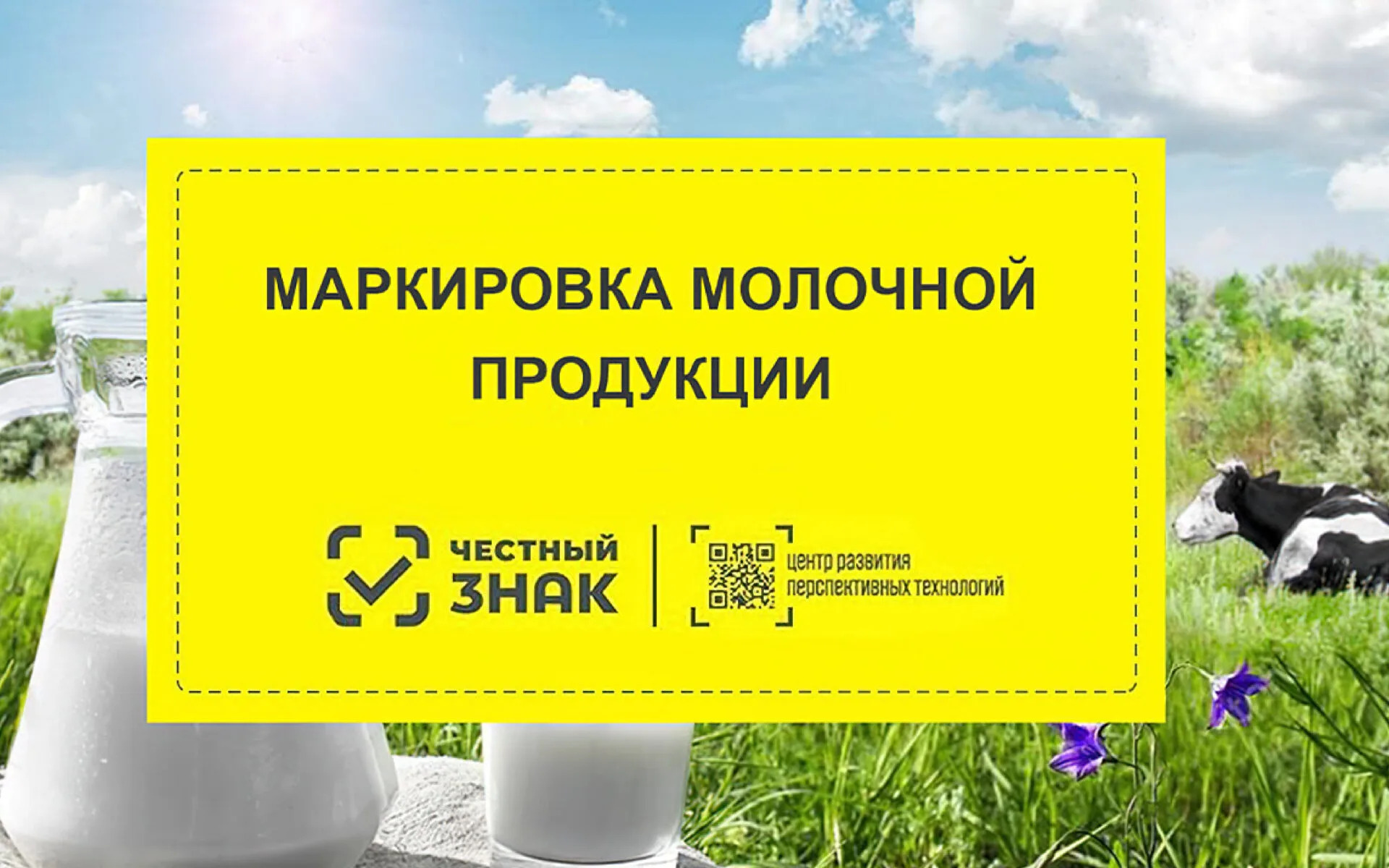 Маркировка молочной продукции.