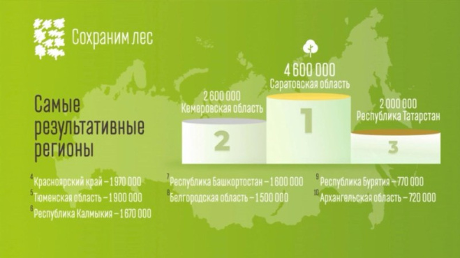 В Саратовской области высадили 4,6 млн деревьев.
