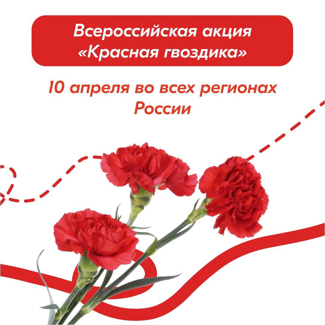 Всероссийская акция «Красная гвоздика» .