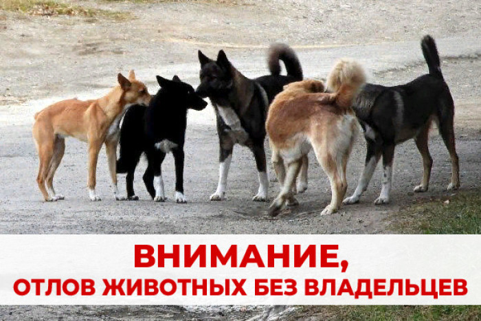 Уважаемые жители Новоузенского района!.