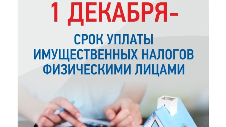 Уплатите налоги не позднее 1 декабря 2023 года. Уплатите налоги не позднее 1 декабря 2023 года.